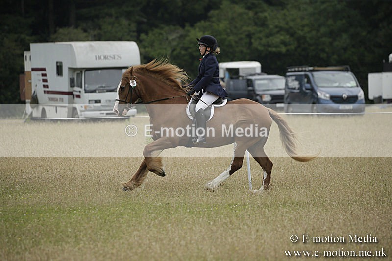 B230619-0318 - Bourne Valley Riding Club Summer Show 23/06/19
