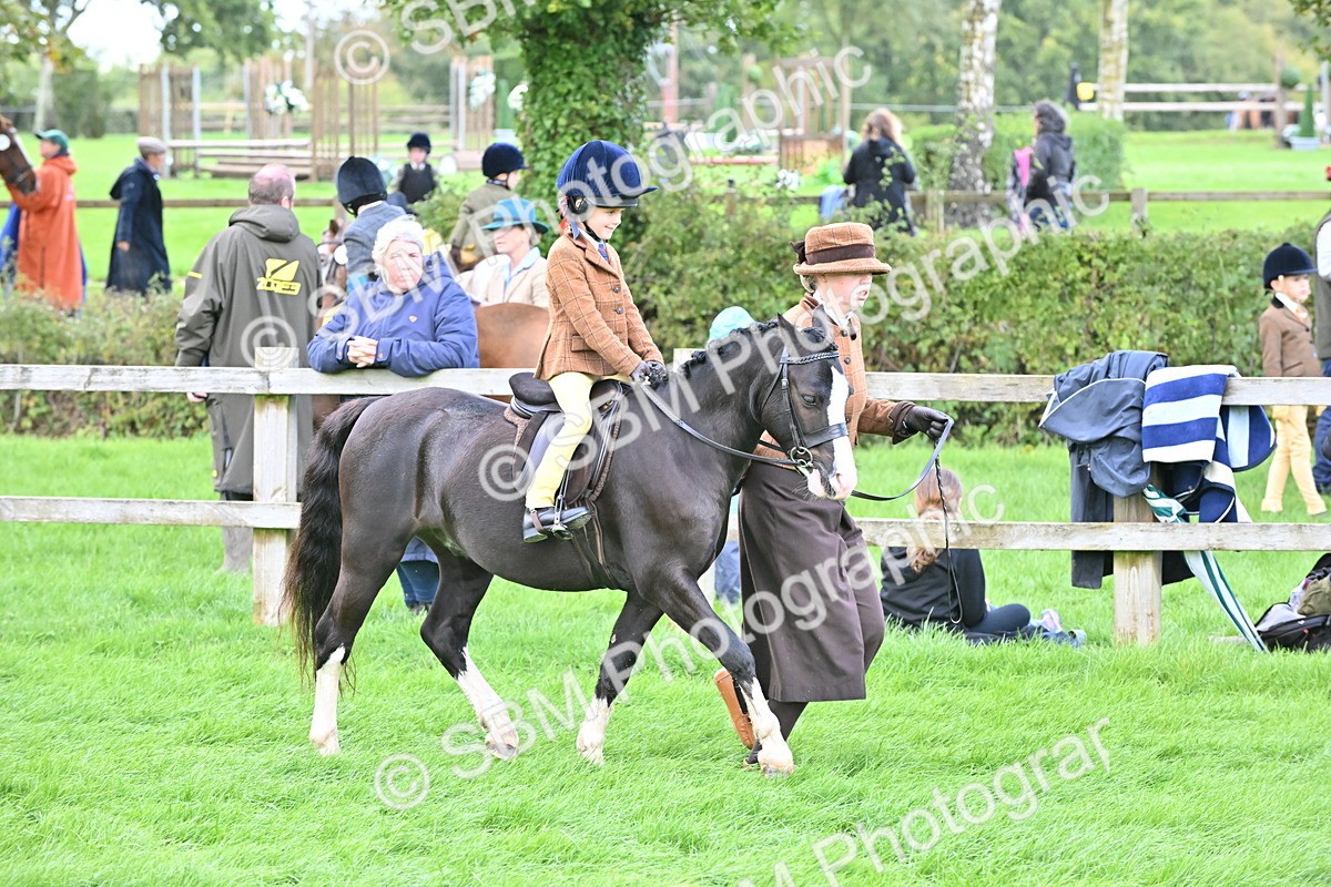 SBM_38331 - S19 - Lead Rein Show & Show Hunter Pony