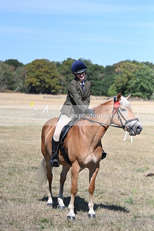 WJ7_1321 - Class 41 Prettiest Mare