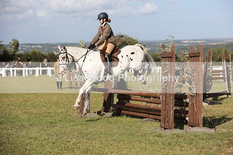 JPP_3164 - Class 21: Working Hunter 80cm