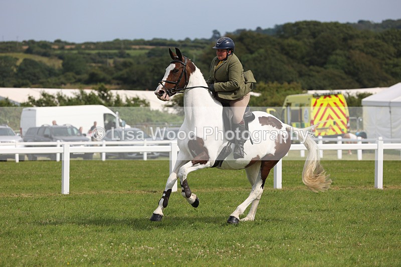 JPP_4045 - Class 24: Working Hunter 90cm