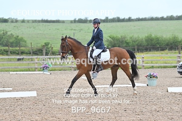 BPP_9667 - NO COMPETITOR NUMBER X 2