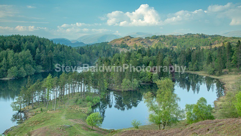 Tarn Howes:181E - Lake District