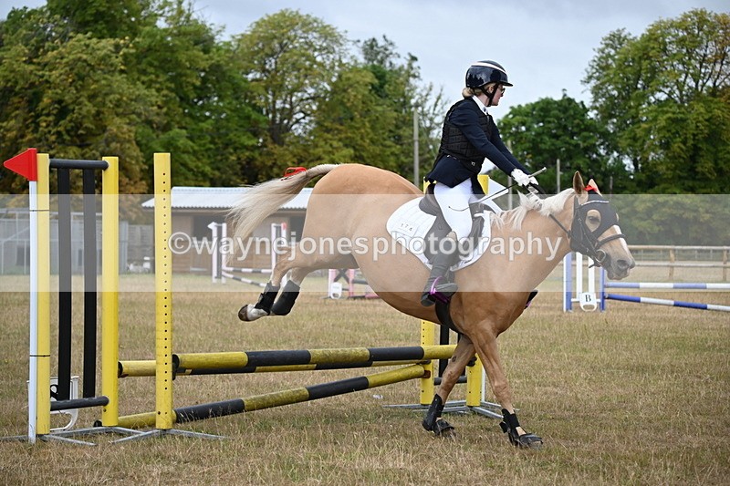 WJ6_9917 - Class 13 Novice Jumping 60cm