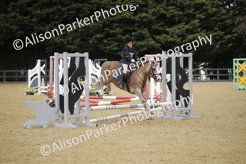 20250622-3809 - 50cm