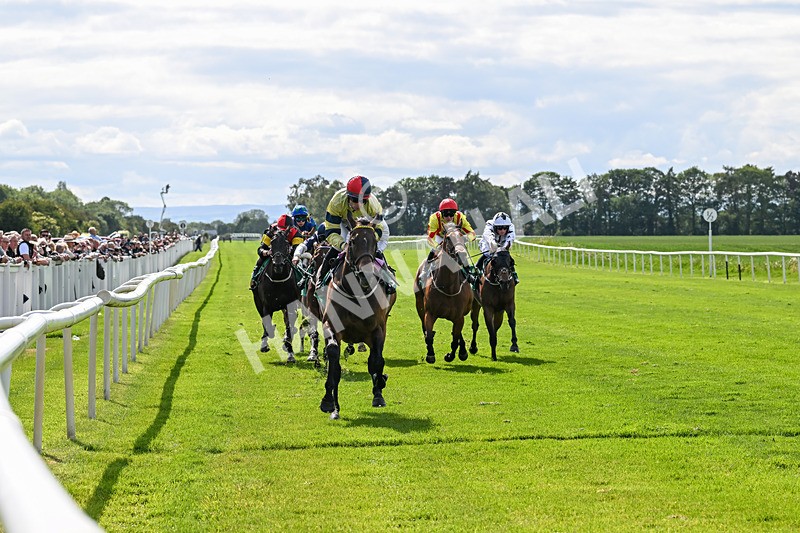 060625-Race 5-Miss Brazen-4931 - Race 5