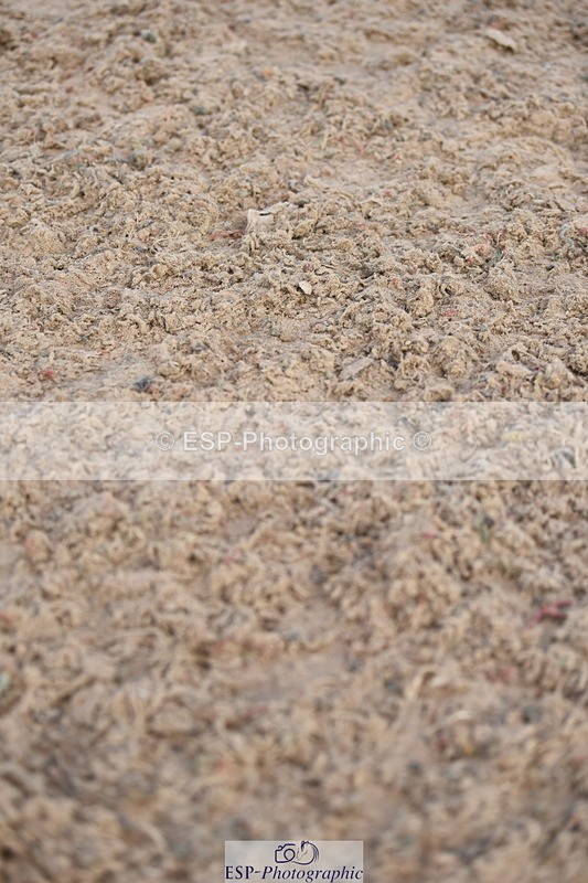 230915A-110230-00246 - Cls 9 British Novice & 90cm Open