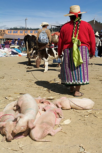  - Guatemala