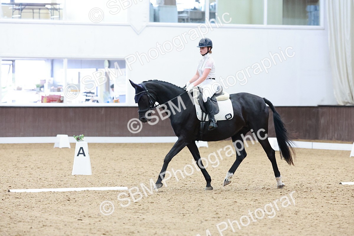 SBM_002331 - Novice 2 - Elementary 1