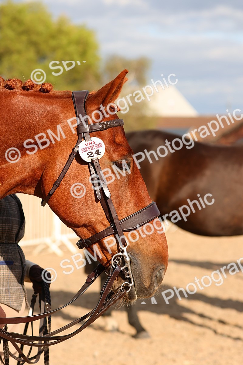 SBM_18398 - Class 318 - IH Part Bred Horse Pony