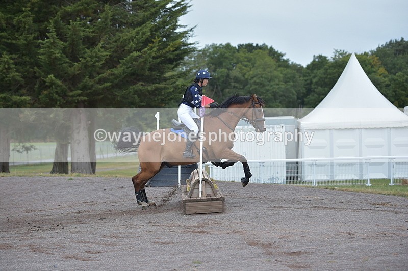 NGP_2530 - XC Time 11:37 to 11:57