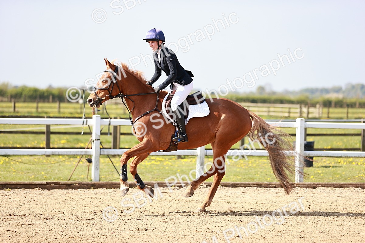  - Class 21 - Senior British Novice - 90cm