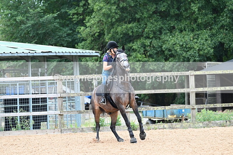 WJ7_7557 - Poles 10:00am