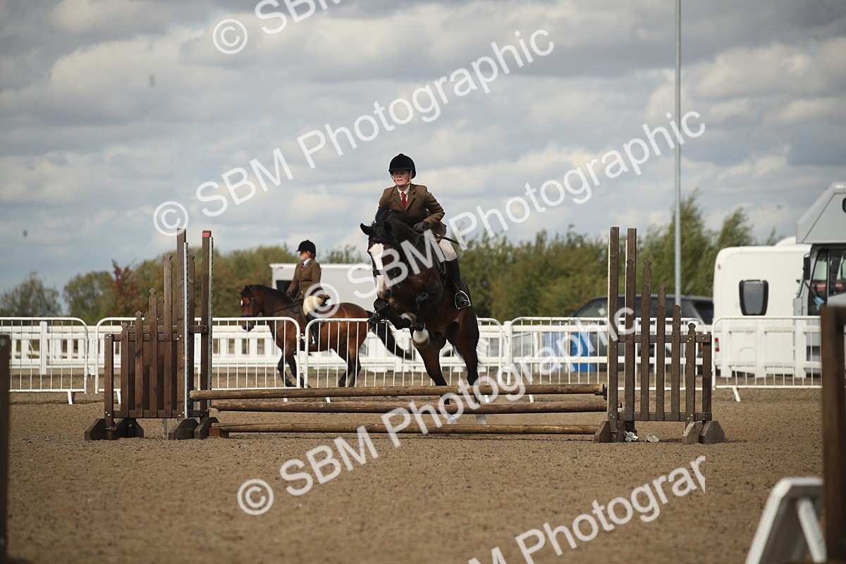 SBM_14504 - Class 505a - M&M Working Veteran - 50cm (15-19)