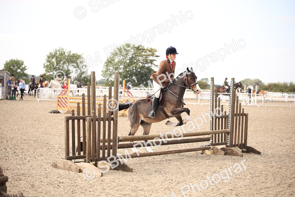 SBM_16074 - Class 408b - Working Veteran 70cm (20+)