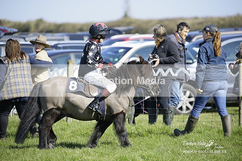 PtP 190322 91 - Wilton Hunt PtP Milborne St Andrew 19/03/22
