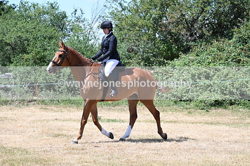 WJ7_2739 - Class 7 Riding Club Show Horse