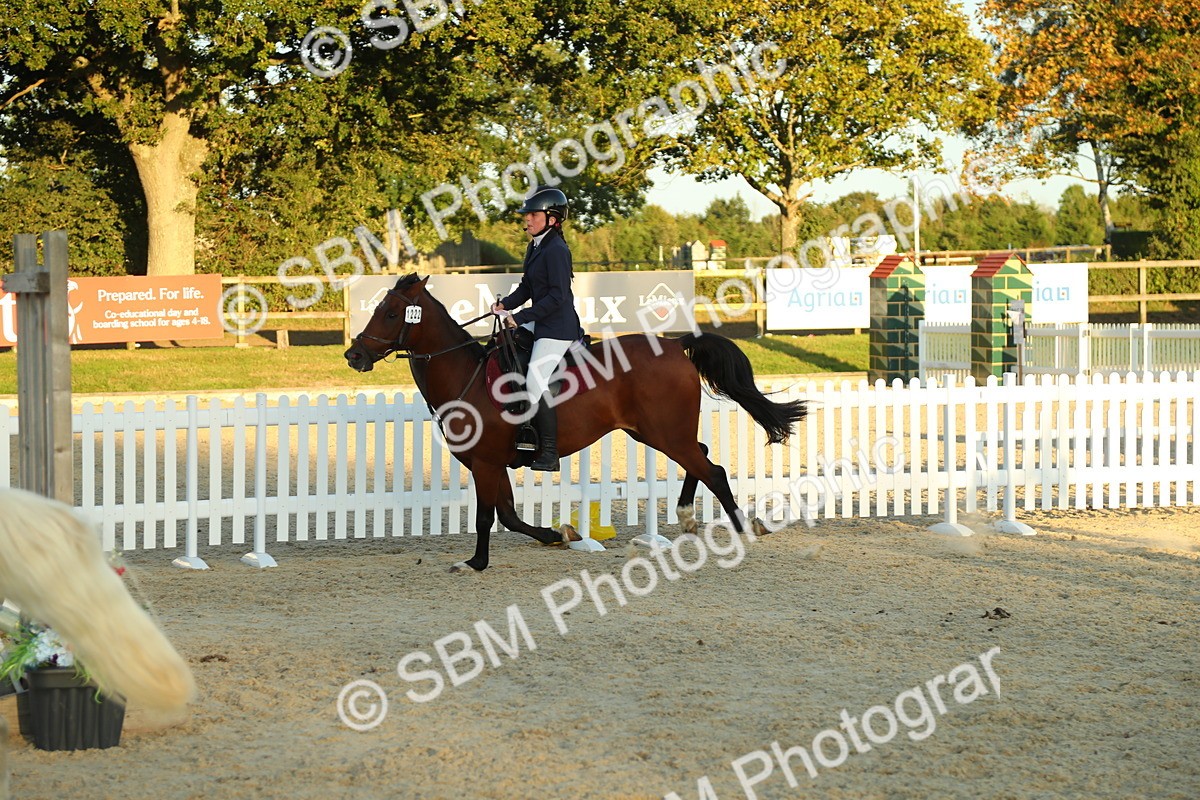 SBM_53967 - J8 - Junior Pony 65cm Championship
