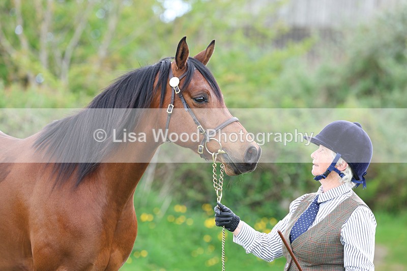 3E7A0868 - In Hand Championship