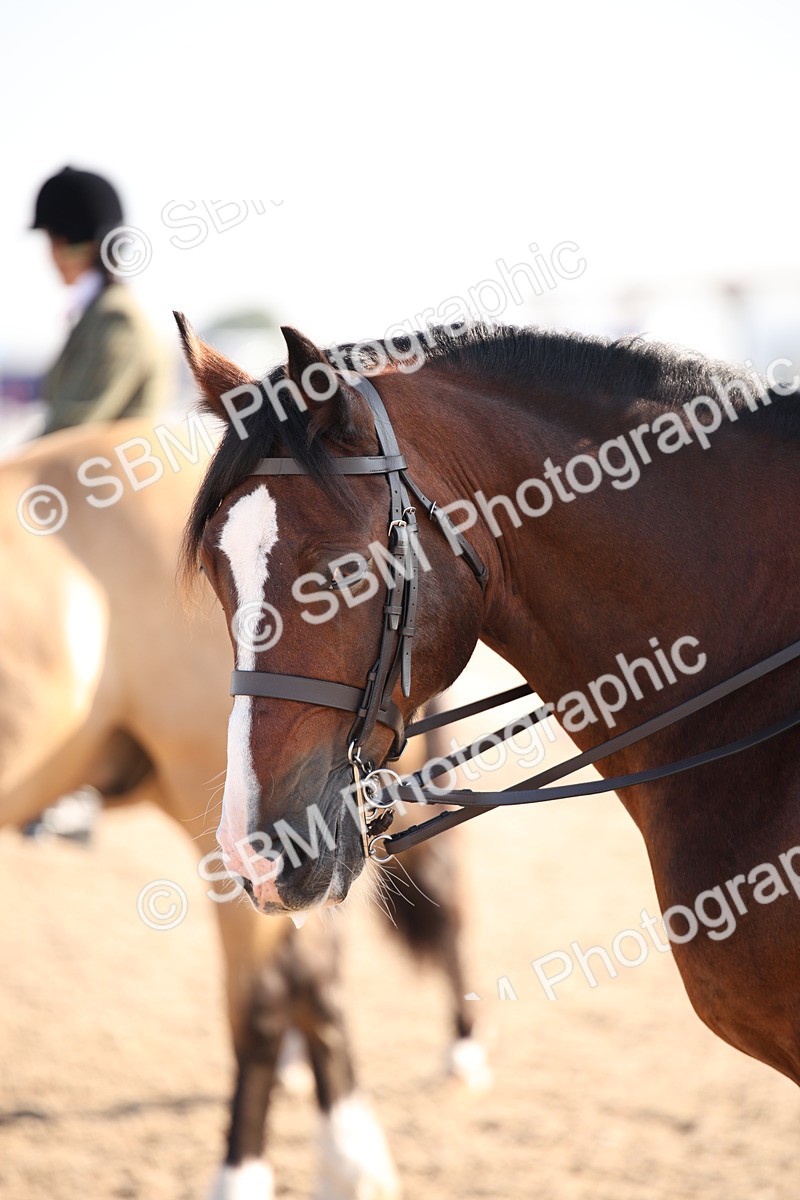 SBM_00705 - Class 14 Ridden M&M Wildcard