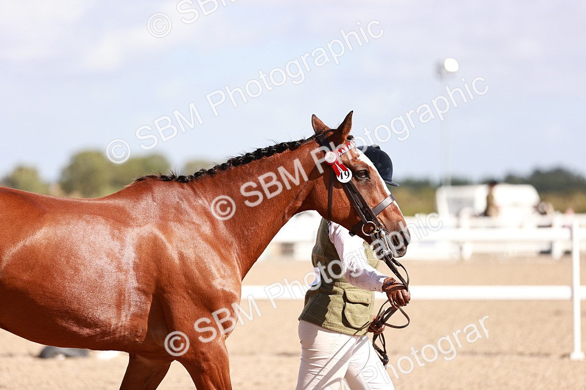 SBM_22990 - Class 707 - IH groom Helpers Class