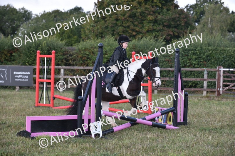 20250831-0445 - Class 7 - Absolute Novice 35cm