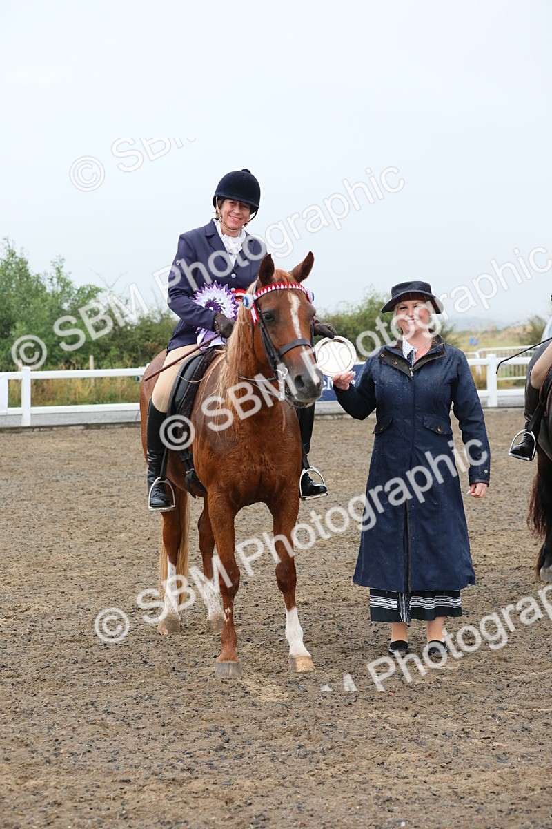 SBM_20373 - Class 803 - Ridden Combination 65+