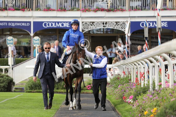 yr19082022r6-39 - Race 6 4.45 pm British Stallion Studs EBF Convivial Maiden Stakes