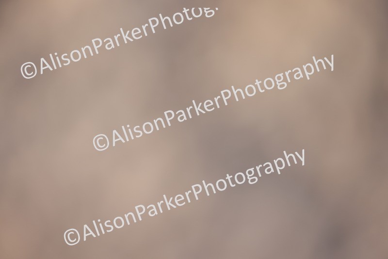 20260214-0807 - Class 6 - Elementary 1