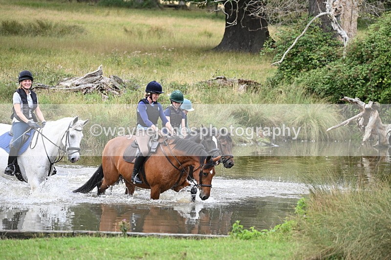 WJ7_2836 - Time at Water 11:37 to 12:13