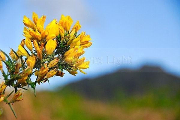 lll0110 - South Lakes
