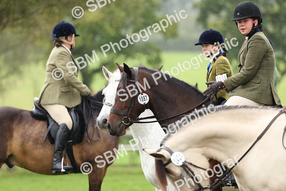 SBM_69668 - S62 - Mountain & Moorland Ridden Large Breeds
