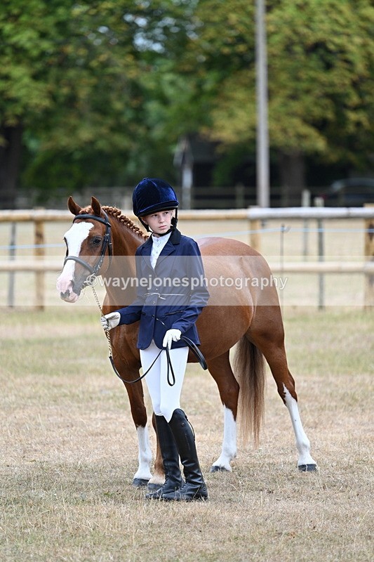 WJ7_8126 - Class 4 Prettiest Mare up to 14.2hh