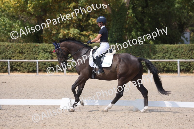 20260815-0958 - Class 5 - Novice 1