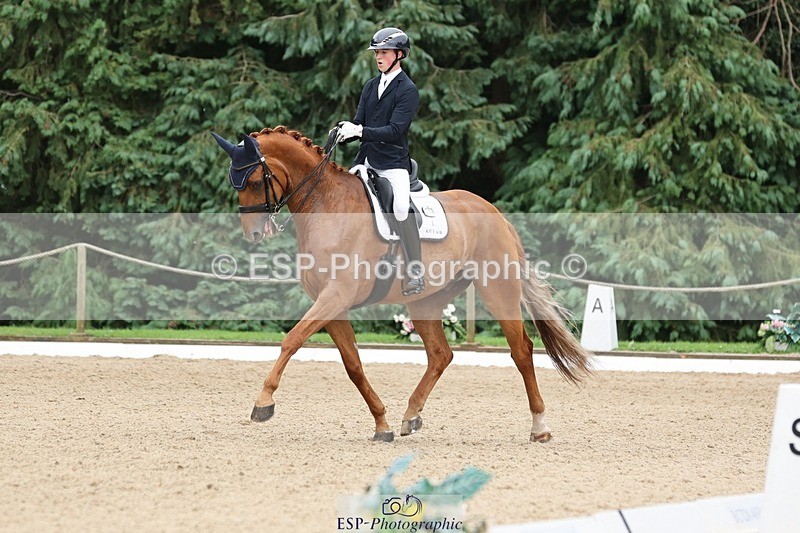 240810-155505-04116 - 208-Tom.Carter-Rubin.Regal