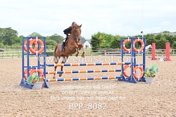 BPP_8082 - CLASS 11 SUN Senior BritiNovice/ 90cm Open