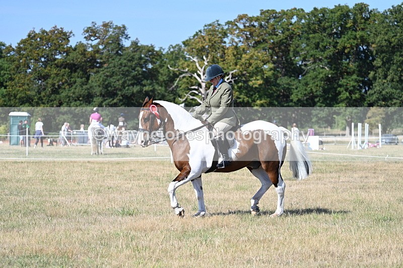 WJ7_3268 - Class 8 Ridden Tack & Turnout