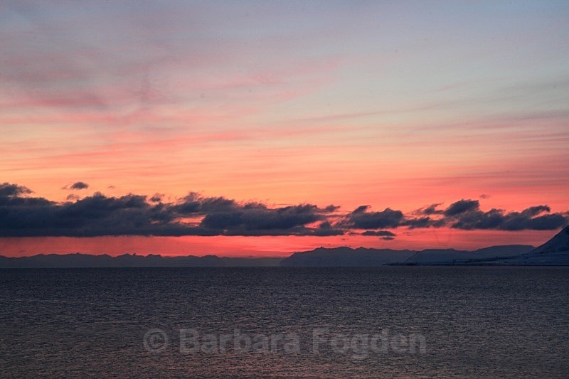 Isfjord 3412 - Colours of Svalbard
