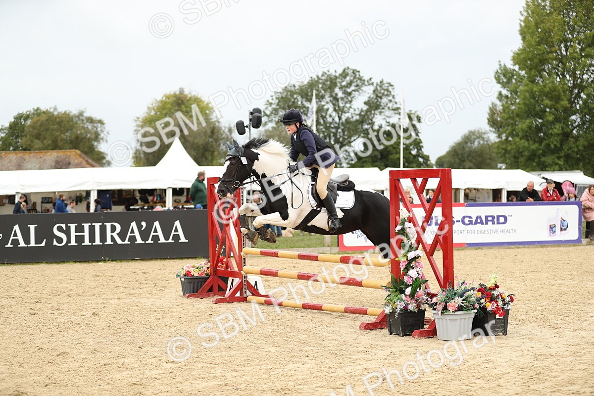 SBM_59536 - J25 - Junior Horse 80cm Championship