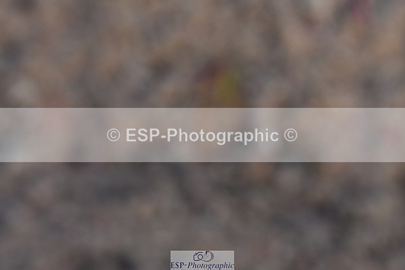 231105A-095212-00046 - UnAf Intro A and B