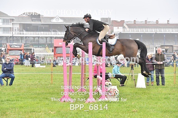 BPP_6814 - CLASS 2 RHS Classic Champ Qual (1.20m)
