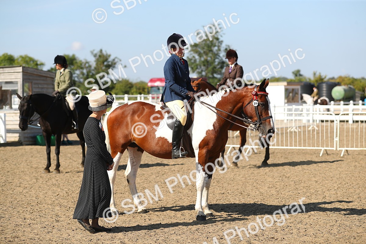 SBM_02278 - Class 43 Ridden Competition Horse/Pony