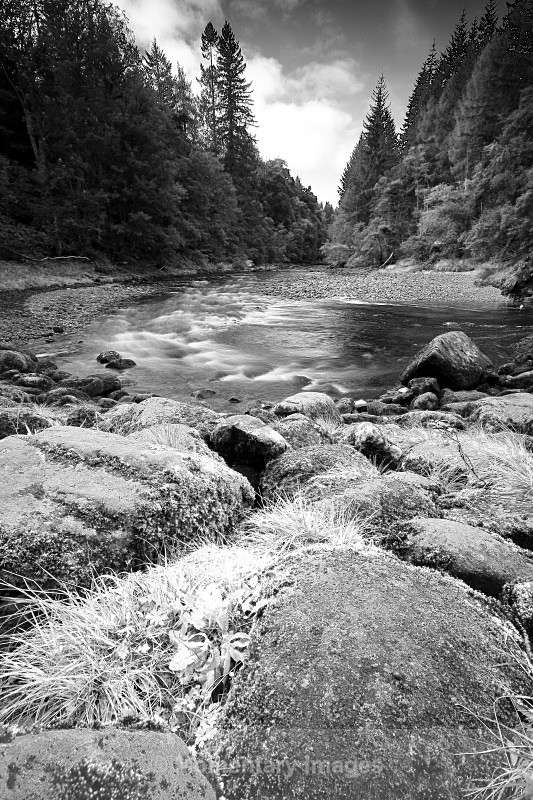 Gentle bend - Black and White