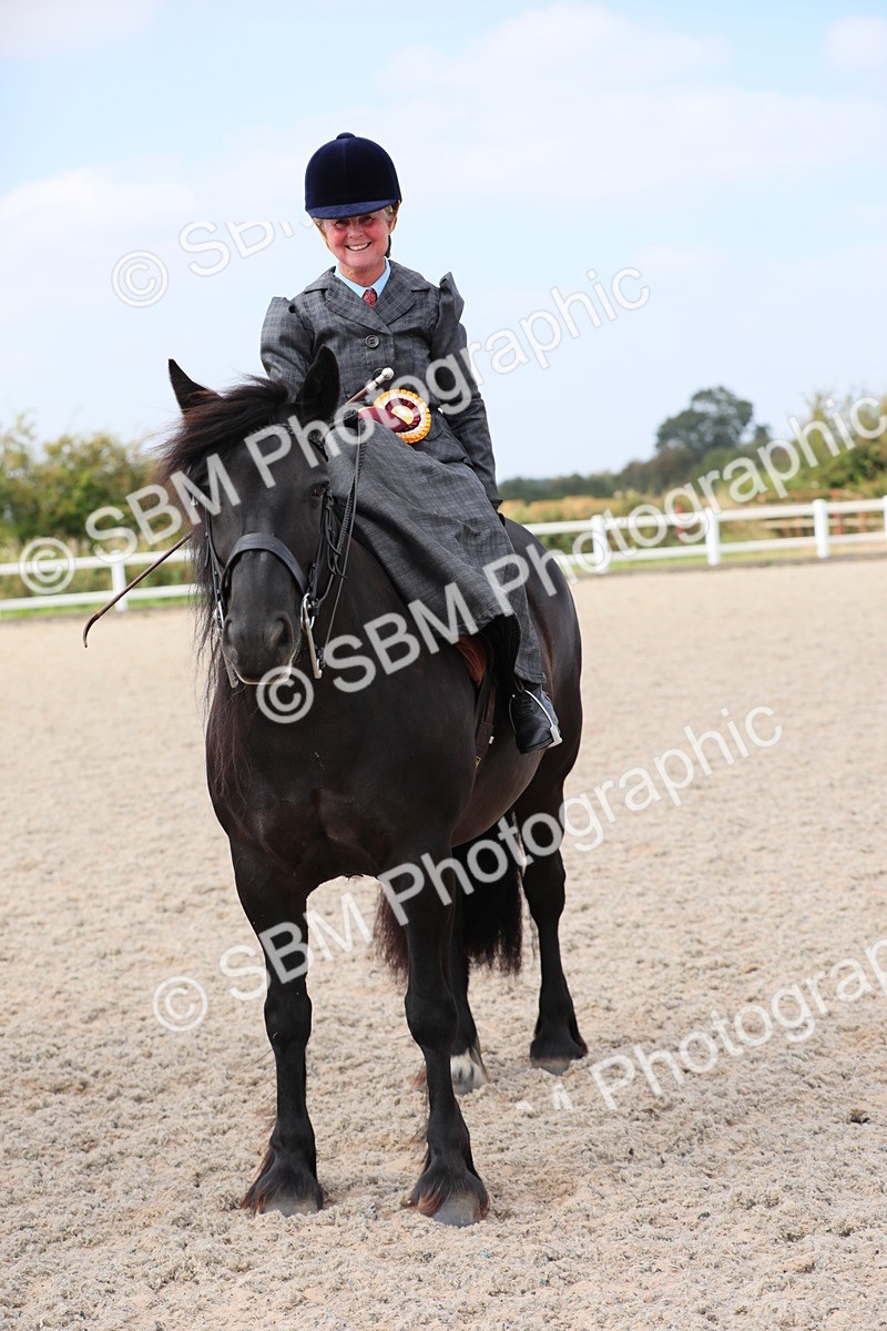 SBM_14610 - Class 211 Best Side Saddle Horse/Pony