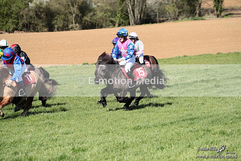 Shet 060426 292 - Shetland Pony Racing Paxford Races Easter Mon 06/04/26