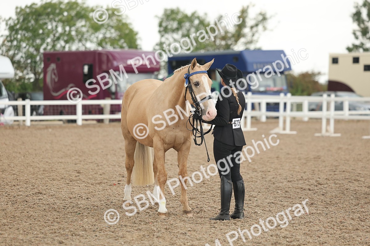 SBM_07692 - Class 26 - IH Foreign Breeds - Part Bred