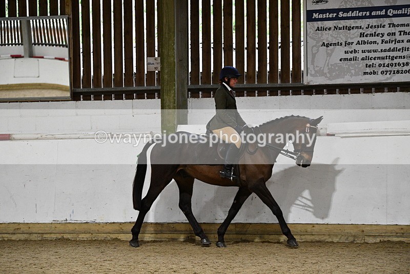 WJ5_8763 - Class 15 Ridden Show Horse