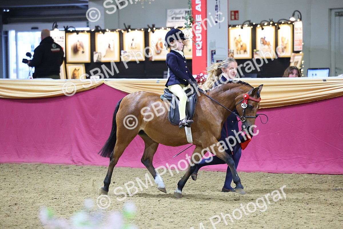 SBM_18982 - Class G Ridden Pony Champ