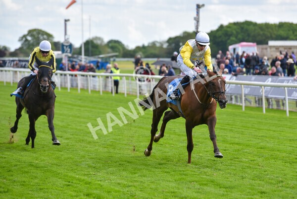 yr11052022r6-30 - Race 6 4.45pm Conundrum HR Consulting Stakes