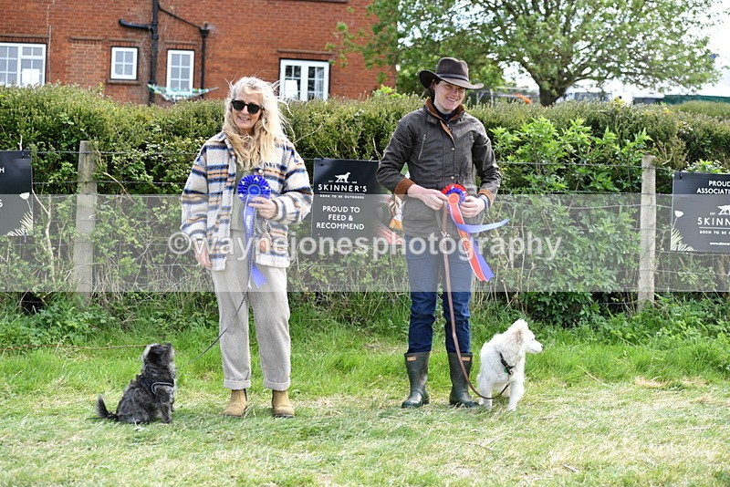 WJ5_0868 - Best in Show Championship